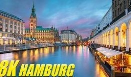 今日西湾公园爆料视频,现场实况视频曝光，精彩瞬间不容错过