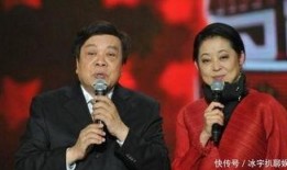 赵忠祥爆料豪宅事件视频